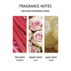 MOLTON BROWN Delicious Rhubarb & Rose Fine Liquid Hand Wash 300 Ml -Molton Brown Verkaufs-Shop 1309641 MOLTON BROWN Delicious Rhubarb Rose Fine Liquid Hand Wash 300 ml.7e49426d