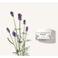 Payot Herbier Crème Universelle Visage à L'huile Essentielle De Lavande 50 Ml -Molton Brown Verkaufs-Shop 1402986 Payot Herbier Creme Universelle visage a l huile essentielle de lavande 50 ml.6222cecf